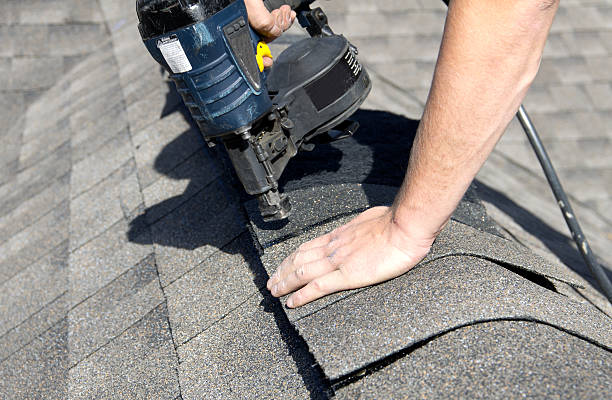 Best Solar Panel Roofing Installation  in Bronson, FL